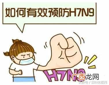 禽流感什么症状（人感染禽流感有哪些早期症状