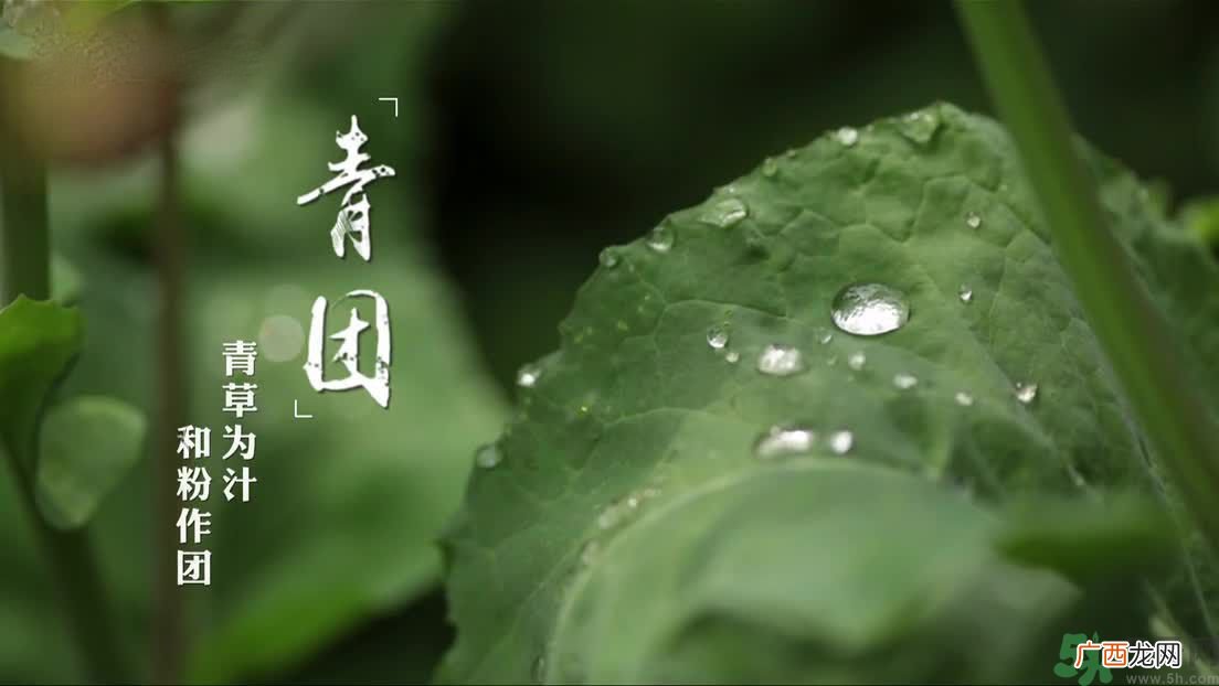 什么人不能吃青团？吃青团要注意什么？