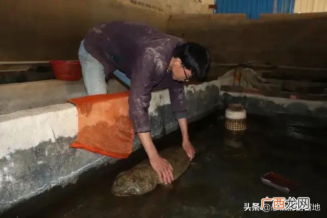适合九零后创业的项目 男人创业项目