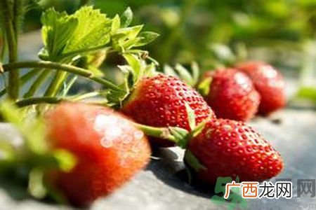 糖尿病可以吃草莓吗？糖尿病吃草莓好吗？