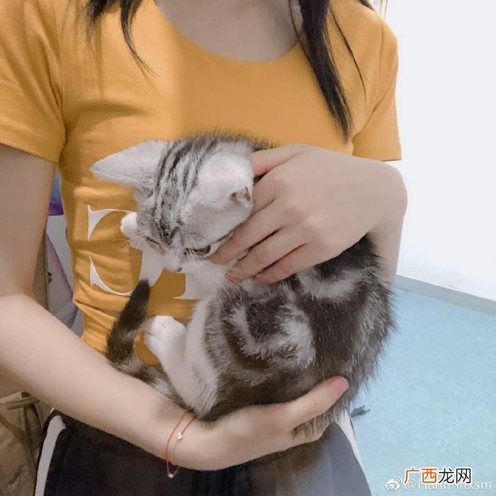 鞠婧祎小号，从鞠婧祎小号了解艺人背后更真实的她