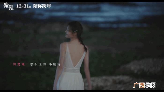 钟楚曦广州,却不及广州靓妹钟楚曦对狗狗的这一哭