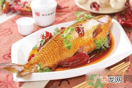 怎么挑选鱼？挑鱼的技巧有哪些？