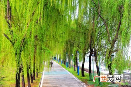 春天适合什么运动？春天做什么运动好？
