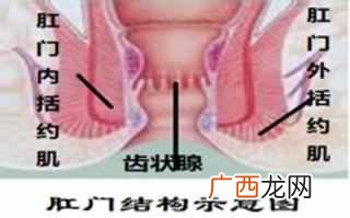肛瘘最全的治疗方案 什么是肛瘘有哪些症状