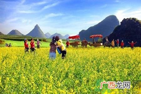 清明节为什么要踏青？清明节踏青有什么好处？