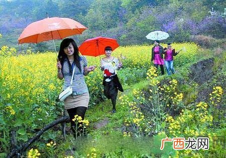 清明节为什么要踏青？清明节踏青有什么好处？