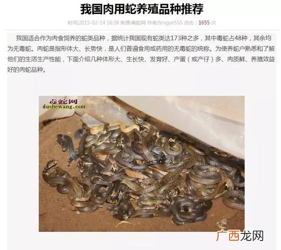2021年国家禁止吃蛇了吗 人工养殖食用蛇