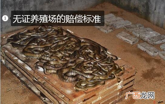 2021年国家禁止吃蛇了吗 人工养殖食用蛇