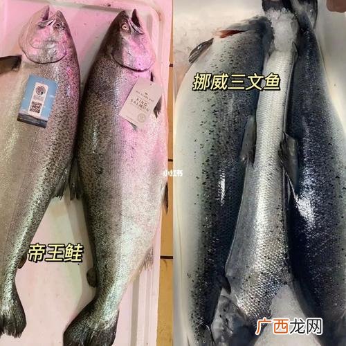 胭脂鱼养殖技术 三文鱼养殖技术视频