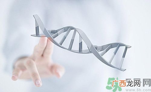 糖尿病会遗传吗？糖尿病会遗传给胎儿吗？