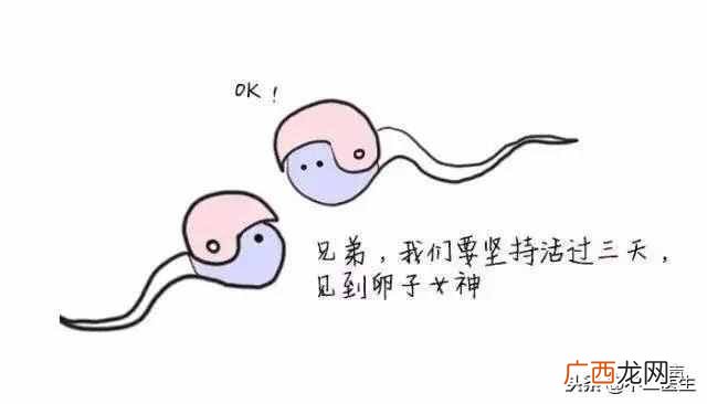 安全期就可以不避孕吗 什么是安全期