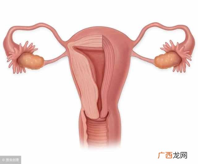 宫颈息肉预防的方法 息肉是什么引起的