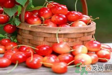 痛风可以吃樱桃吗？痛风吃樱桃好吗？