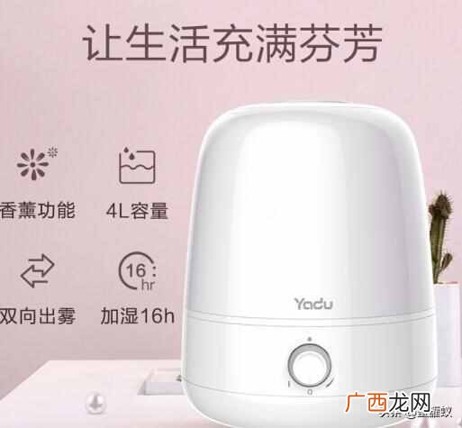 家用加湿器什么牌子好（质量好性价比又高的品