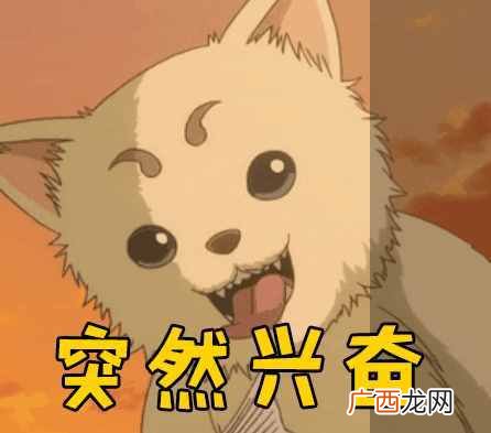 多巴胺的作用是什么 多巴胺是什么意思