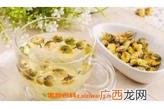 菊花泡水喝的功效与作用 菊花泡水喝的好处