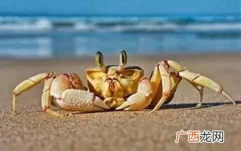 痛风病人饮食禁忌 痛风病人不能吃什么