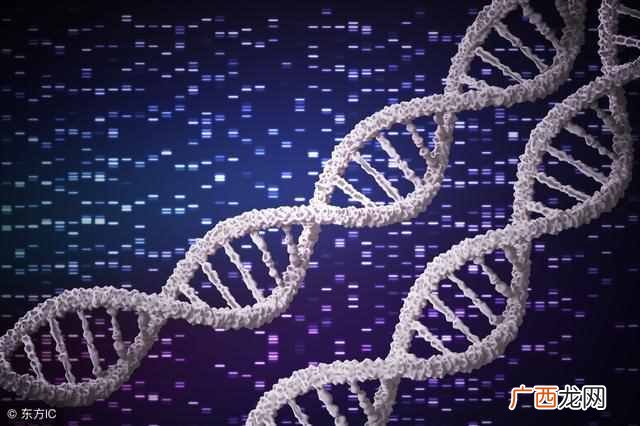 白化病有哪些症状 白化病是什么遗传方式