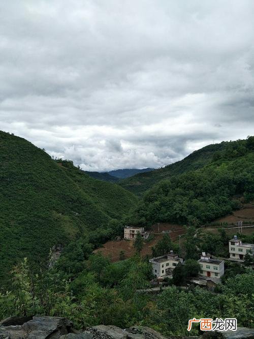 陕西养殖业什么最赚钱农村 陕西适合做什么养殖