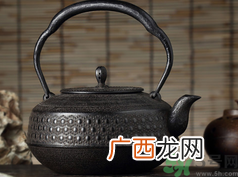 日本铁壶哪个品牌好?日本铁壶价格是多少?