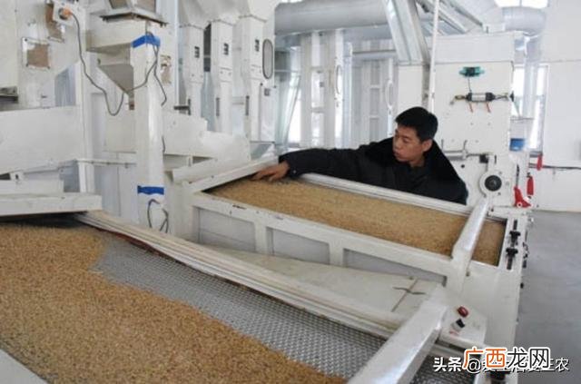 几千块钱怎么赚钱,几千块钱投资什么赚钱