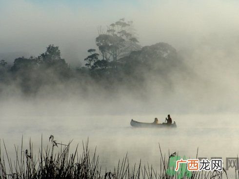 往同学保温杯中倒墨汁误食墨水怎么办？