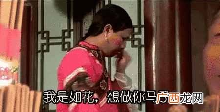 凯子和马子有什么意思 马子是什么意思