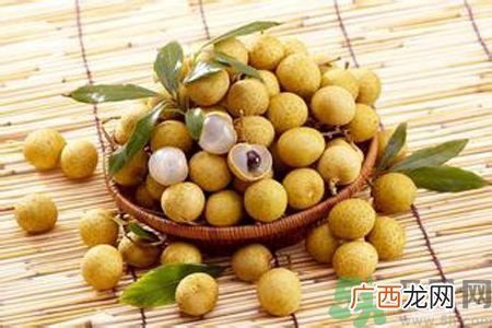 荔枝和桂圆一样吗？荔枝和桂圆哪个好？