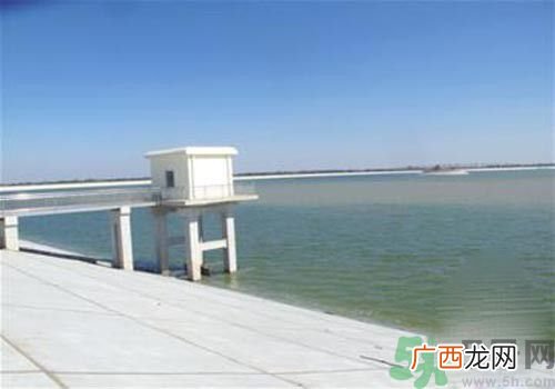哪些地方的地下水不能饮用?为什么八成地下水不能饮用?