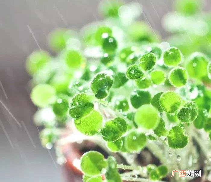 往后余生的说说短句 往后余生经典语录