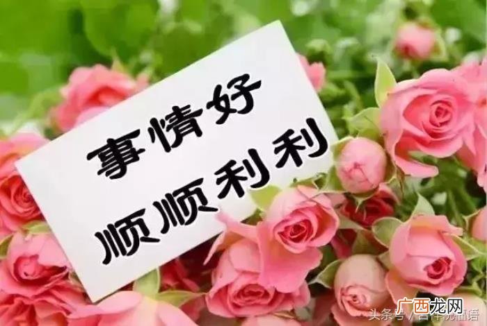 祝你身体健康、露露畅通 祝身体健康的祝福语