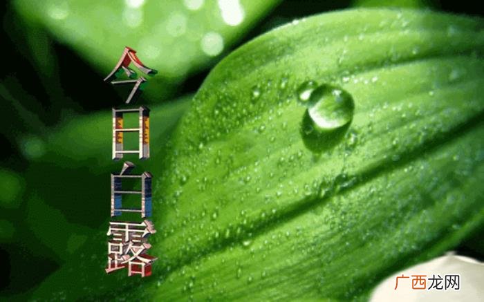 祝你身体健康、露露畅通 祝身体健康的祝福语
