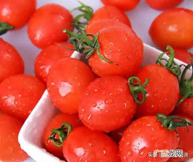 2019年最有前景的几大行业 种植什么最赚钱
