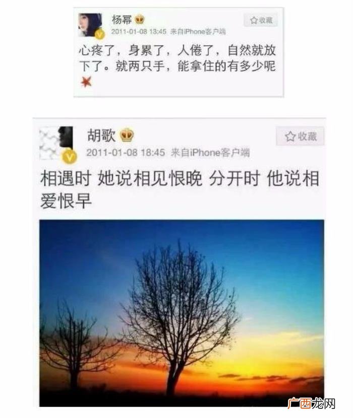 杨幂前男友，更尴尬的是杨幂四位绯闻男友都来了金鸡奖
