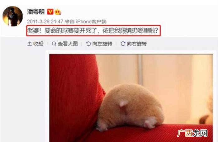潘粤明董洁，潘粤明和董洁的离婚大战没那么简单
