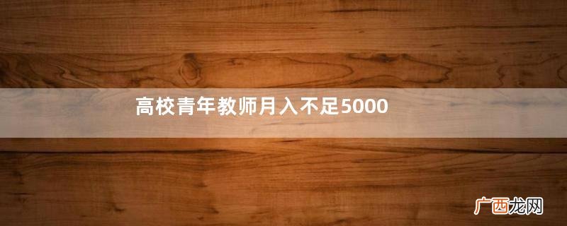 高校青年教师月入不足5000是怎么回事?青年教师的生活是怎样的?