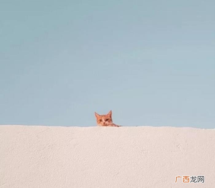 女生说你可爱代表什么，女生说男生可爱是什么心理