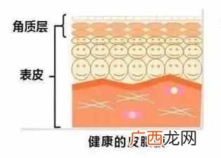 指甲上的月牙代表什么（关于指甲盖你知道多少