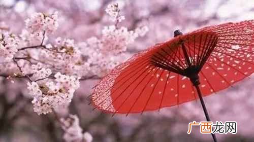 知识科普春天的花 春天有什么花