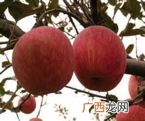 小孩腹泻的主要原因 小孩拉肚子吃什么药
