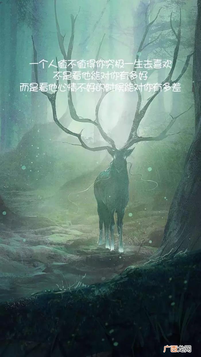 这一生一条路走到黑 一条路走到黑