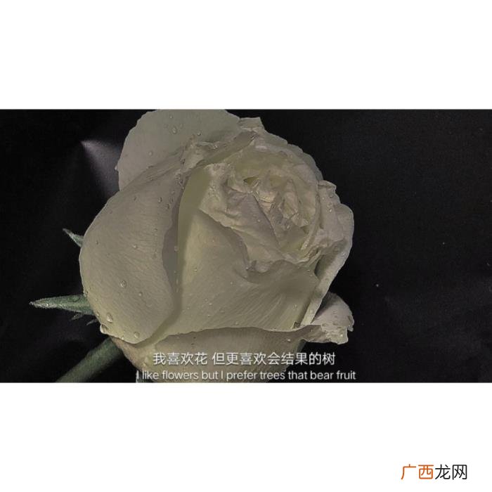 够你发朋友圈用很久的签名 朋友圈签名
