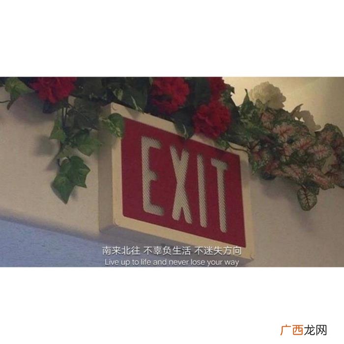 够你发朋友圈用很久的签名 朋友圈签名