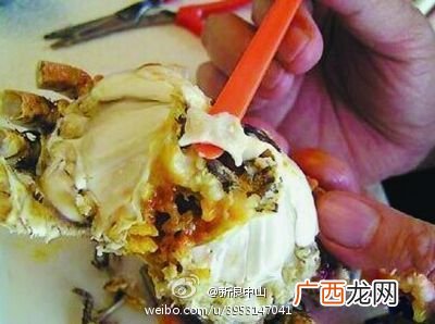 3斤螃蟹绑7两皮筋螃蟹怎么绑起来的