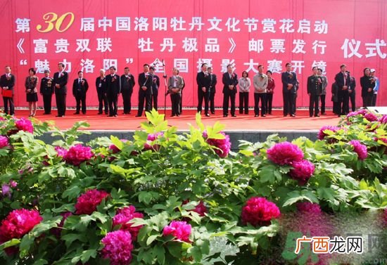 洛阳牡丹文化节活动有哪些？洛阳牡丹文化节门票是多少？