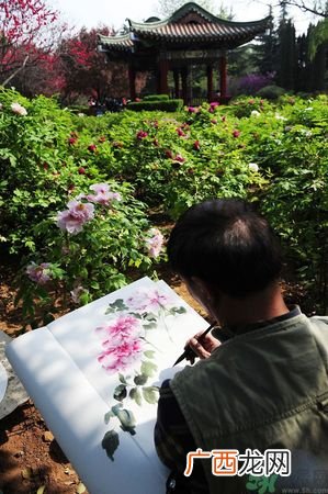 洛阳牡丹文化节活动有哪些？洛阳牡丹文化节门票是多少？