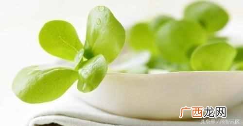 怀孕期间不能吃什么(孕期注意事项及饮食禁忌