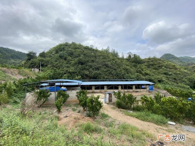 四川养殖 四川成都养殖基地