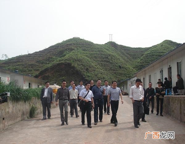 适合养殖的跑山猪品种 四川跑山猪养殖场